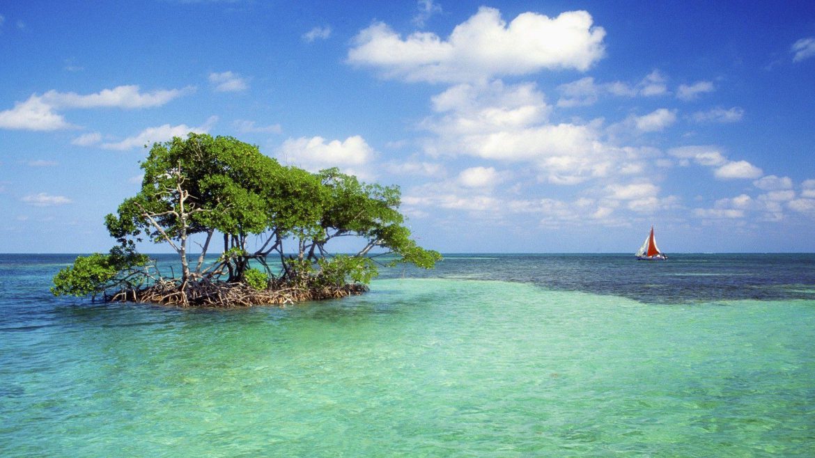 Belice